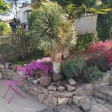 Villas-piscine Les Mimosas
